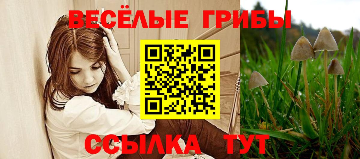 Каменск-Уральский  Псилоцибиновые грибы ЛСД  Вход с VPN 